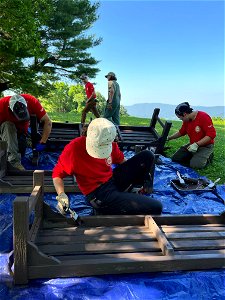 Shen Youth Corps