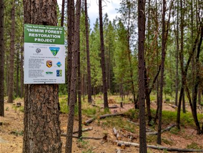 'Inimim Forest Restoration Project