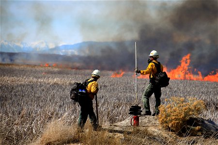2022 BLM Fire Employee Photo Contest Category - Crews photo