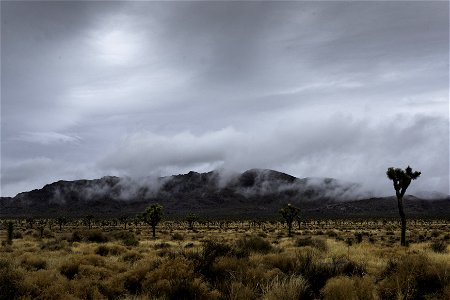 Clouds over Queen Mountain and Joshua trees