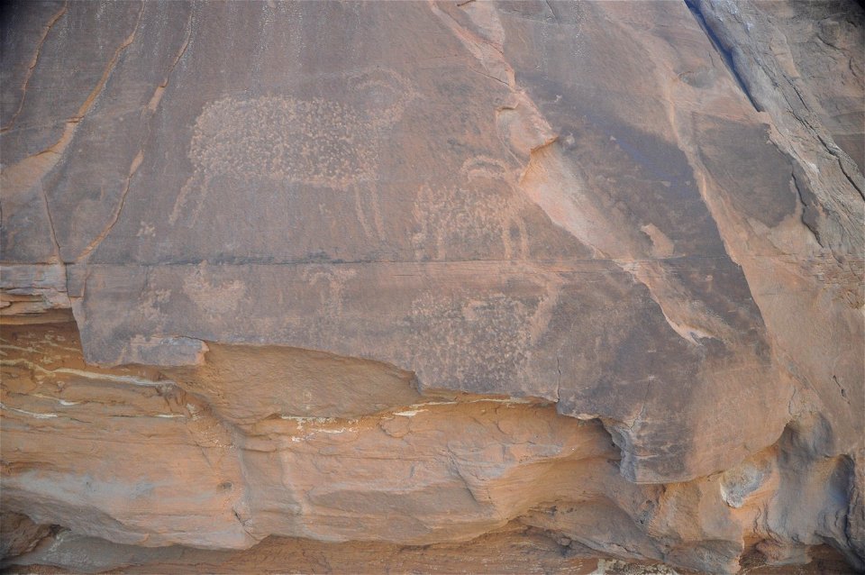 BLM Site Photo 2012