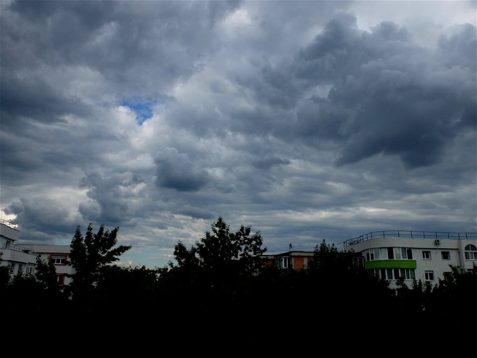nori-sediu2015_0526_164853(1)