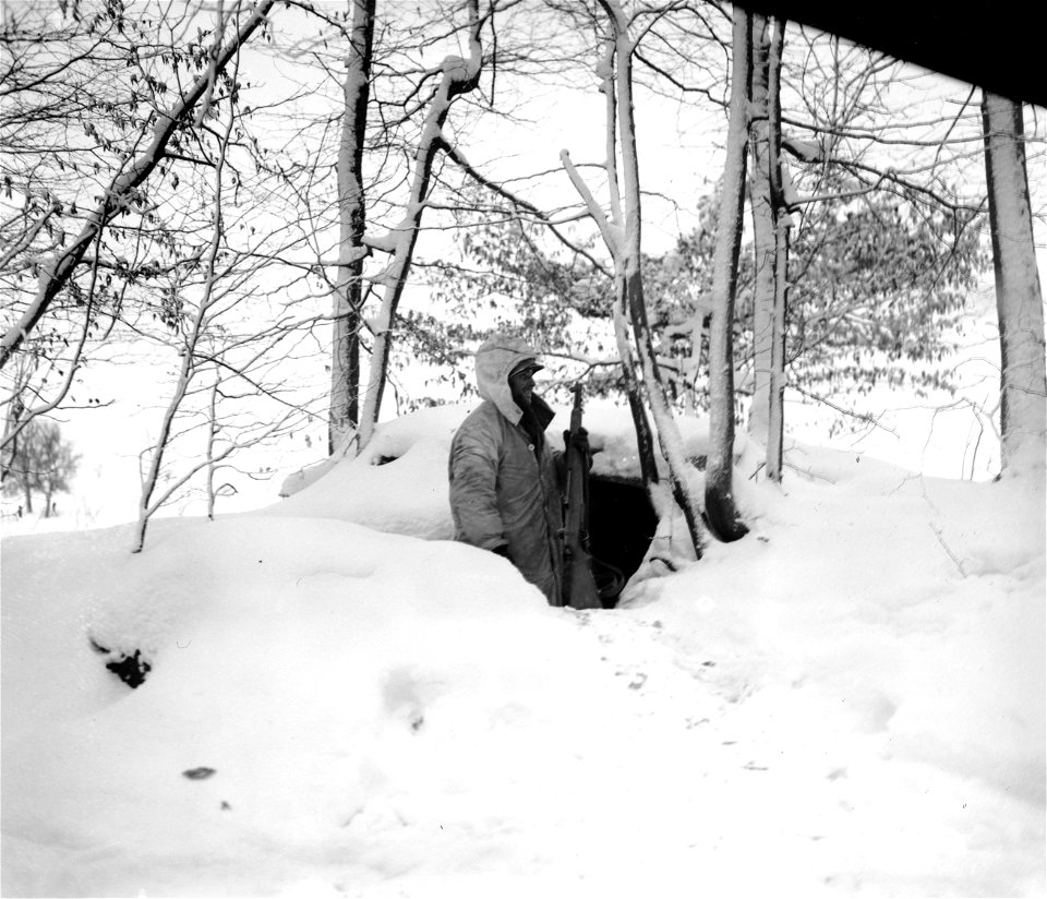 SC 364323 - Pfc. David O. Lukins, American infantryman of the 100th Division, keeps watch on forward slopes of hill a few hundred yards away where Germans are dug in. Shells are falling a short distance away in this snow-covered woods in Reyersviller.