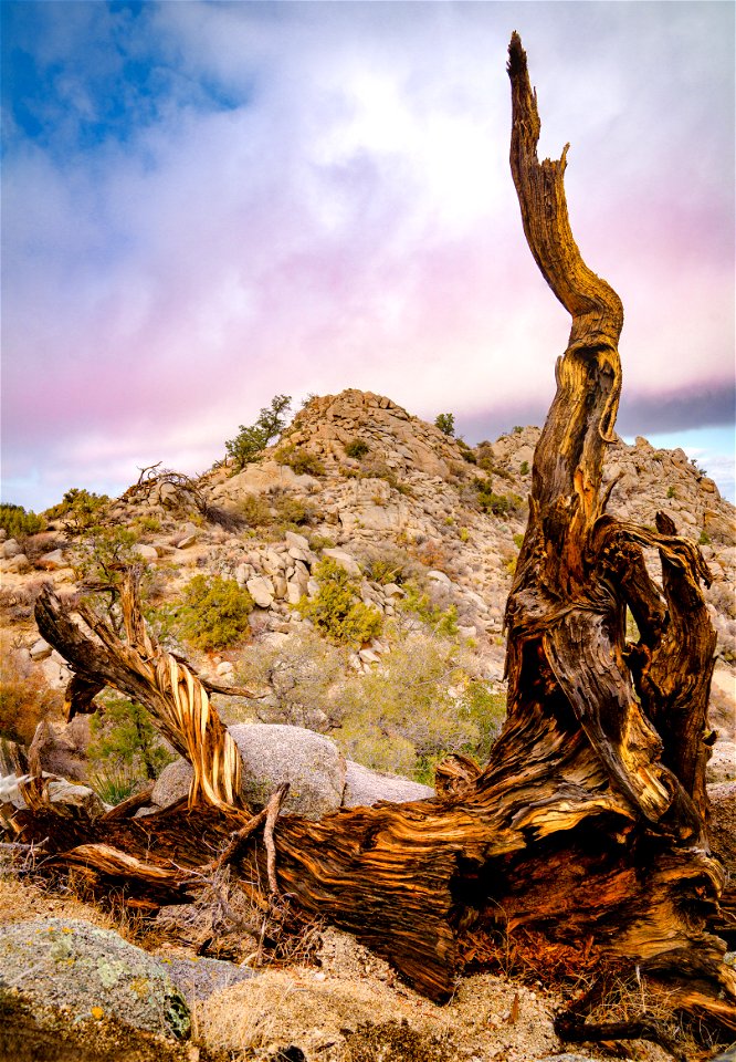 Santa Rosa San Jacinto Mountains National Monument