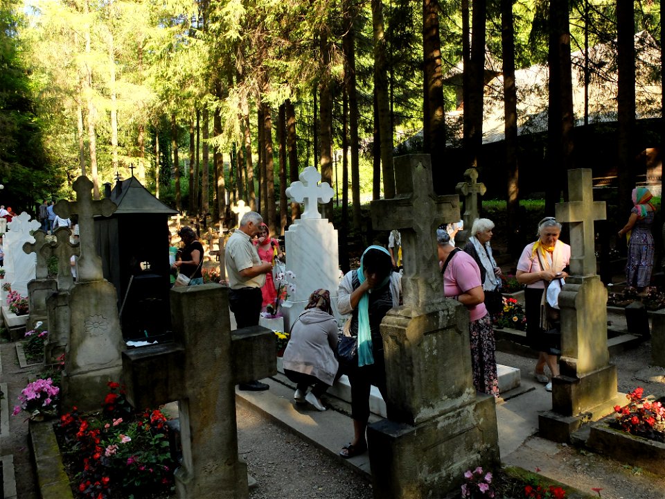 parintele-Cleopa2015_0809_084547