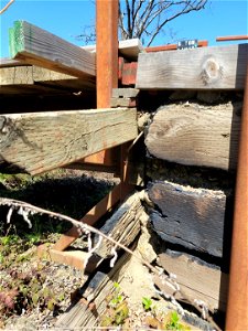 Panther Creek Bridge Joist Before Repairs photo