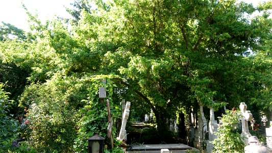 DSC08038