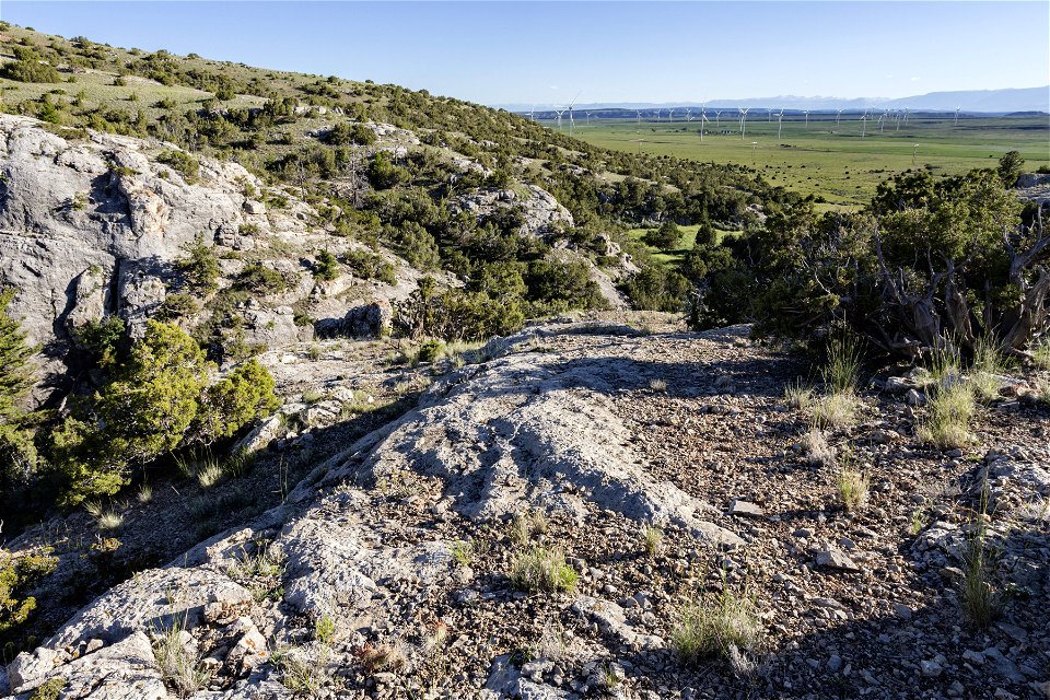 Big Pryor Mountain