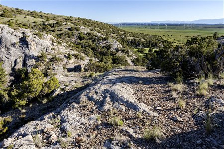 Big Pryor Mountain