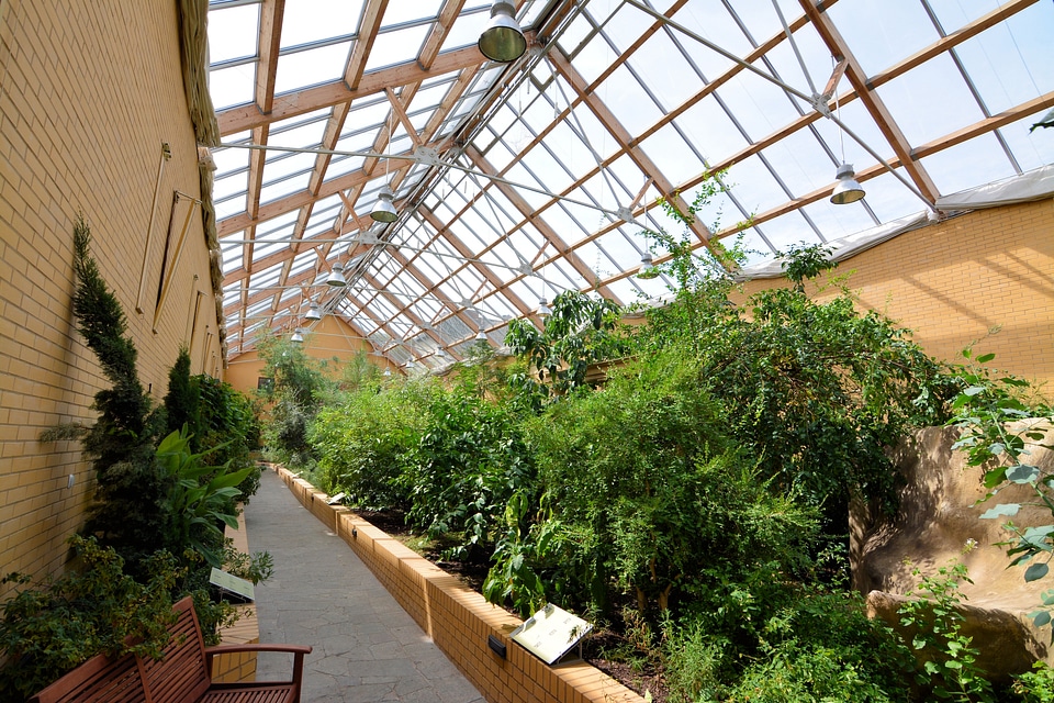 Garden Dendrologiczny in Przelewice Poland