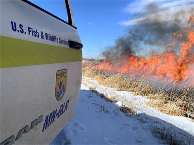 2021 USFWS Fire Employee Photo Contest Category: Fuels Management photo