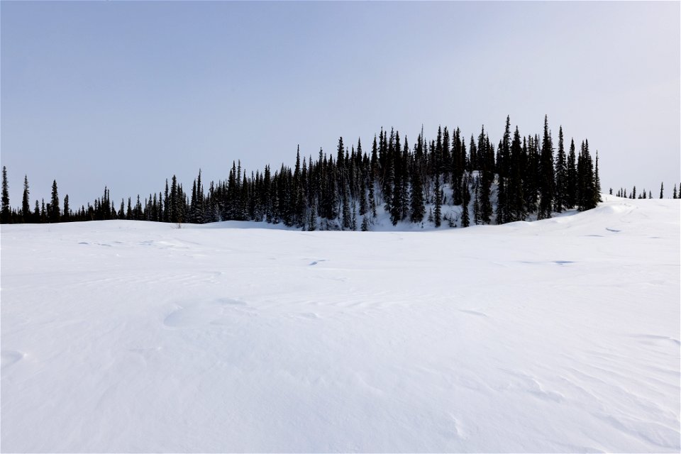 Textures of snow over glacial sand dunes at Selawik National Wildlife Refuge