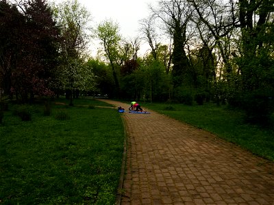 Herestrau Park in spring (130) photo