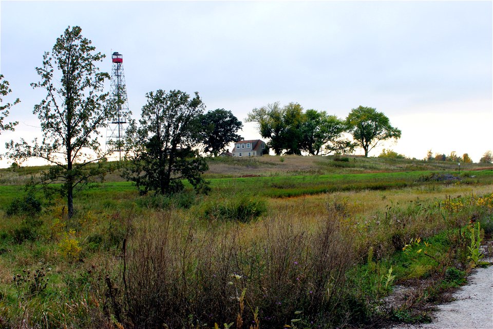 Collins Marsh WMA Firetower