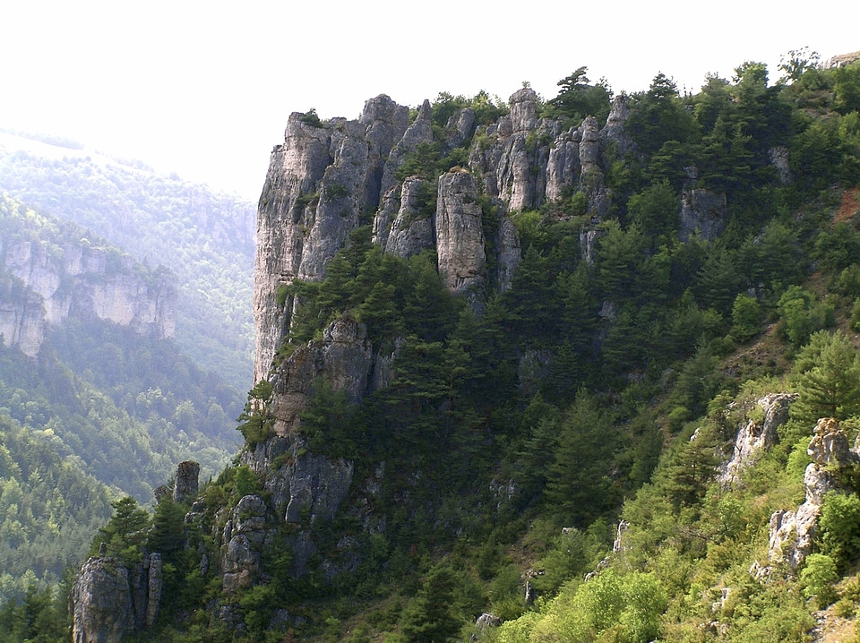 Rock Gorge Jonte France Canyon