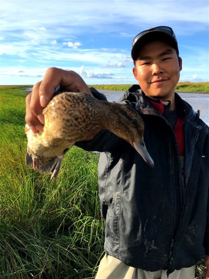 Holding teal