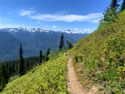 Green Mountain Trail, Mt. Baker-Snoqualmie National Forest. Photo By Sydney Corral June 28, 2021