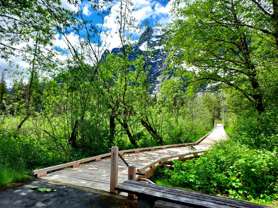 Big Four Trailhead, Mt. Baker-Snoqualmie National Forest. Photo by Anne Vassar June 9, 2021.