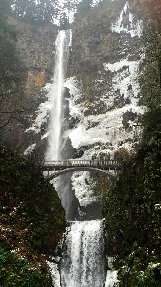 Multnomah Falls in Ice, Columbia River Gorge National Scenic Area