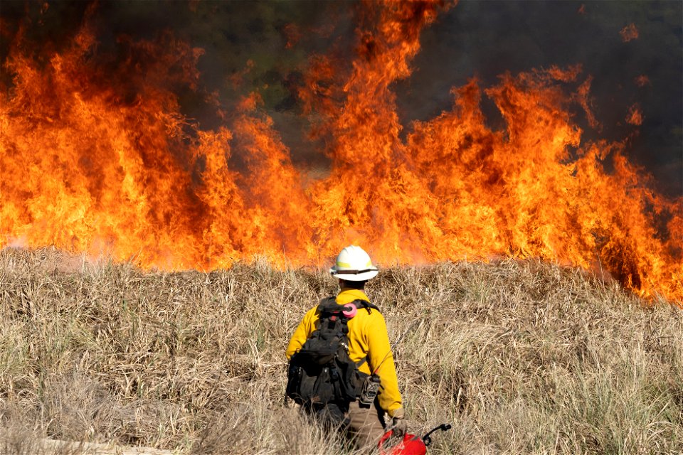 Siuslaw Oregon Dunes Prescribed Burn 2022