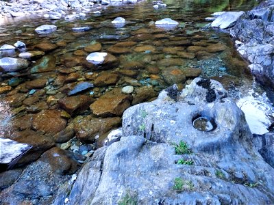 Clear Creek, Mt. Baker-Snoqualmie National Forest. Photo by Anne Vassar Sept. 13, 2021. photo