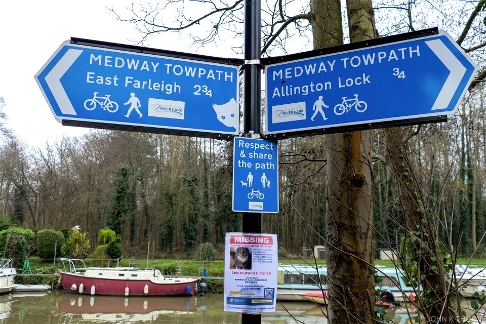 This way or This way? Missing Cat. Mysterious signpost cat. Respect & Share.