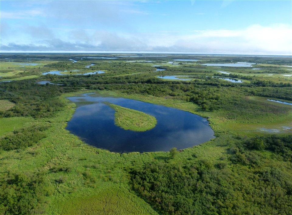 Yukon Delta NWR Wetlands