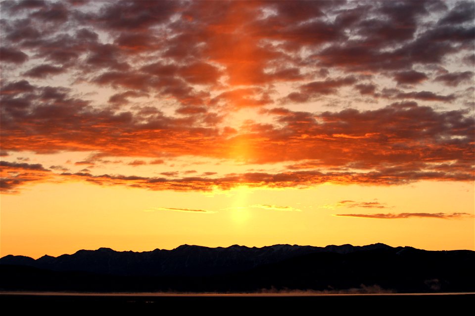 Sunbeam Sunrise