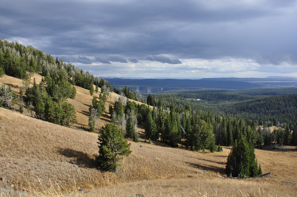 Beautiful View from the Mount Washburn Yellowstone National Park