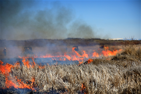 Market Lake Prescribed Fire