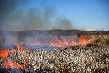 Market Lake Prescribed Fire photo