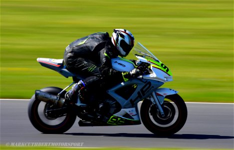 DSC_8799 (2)