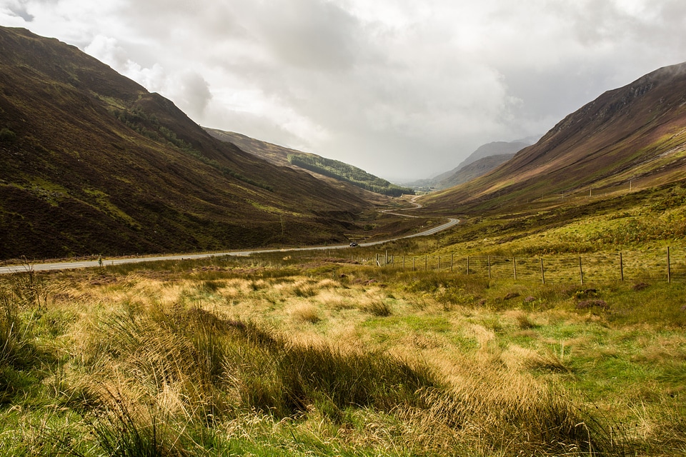 Grass landscape valley
