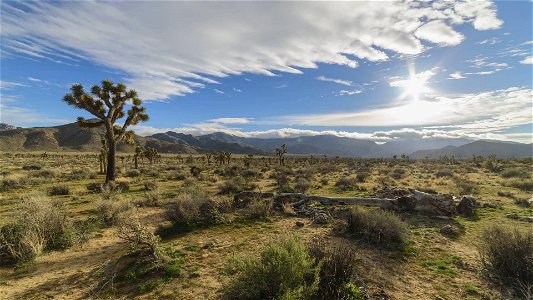 Timelapse Joshua Tree Clouds and Sunset Near West Entrance photo