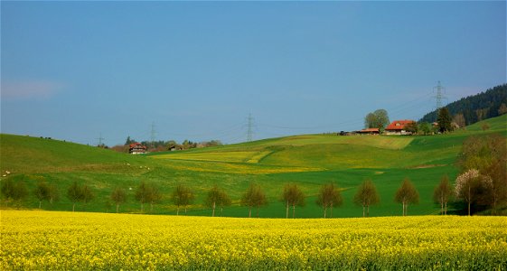 DSC09364