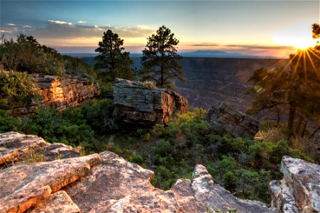 Dolores River Canyon Overlook Area-12