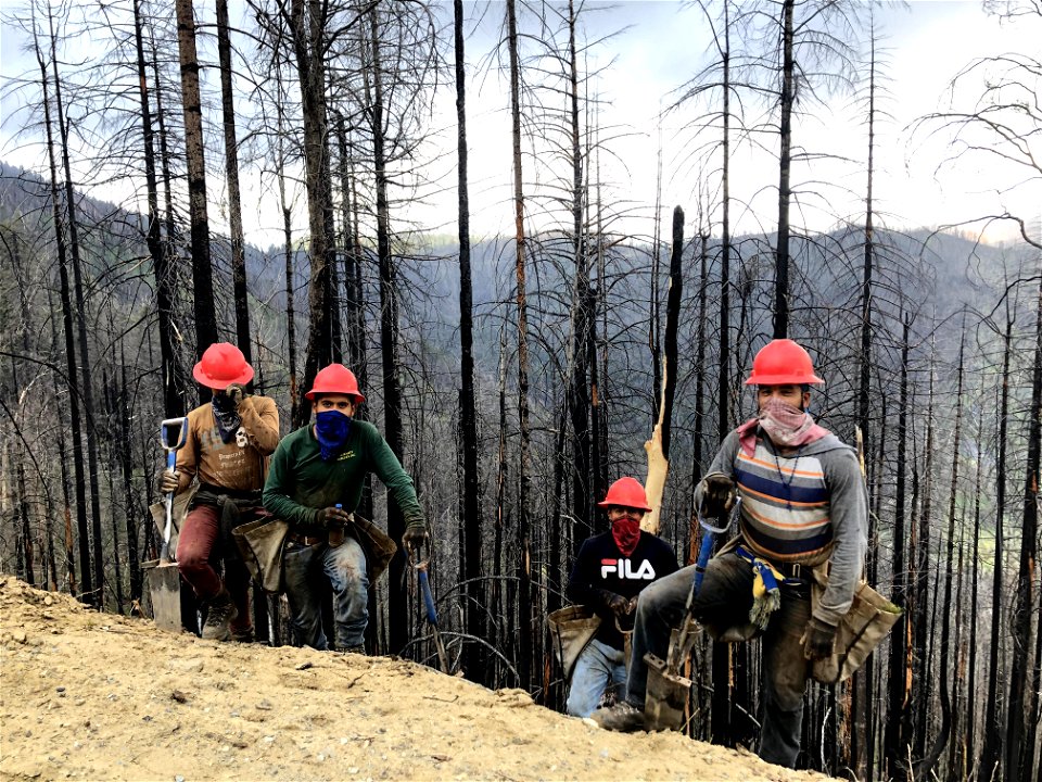 Camp Fire Reforestation Plan 1