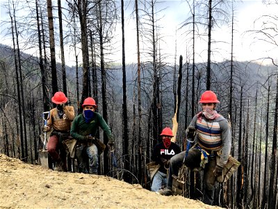 Camp Fire Reforestation Plan 1