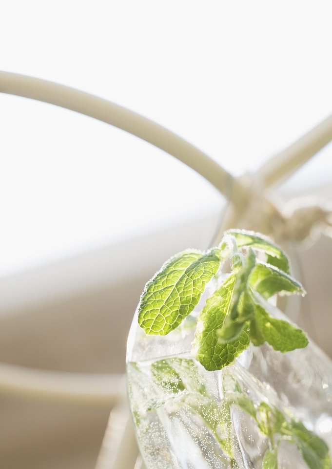 water with ice and mint in a glass