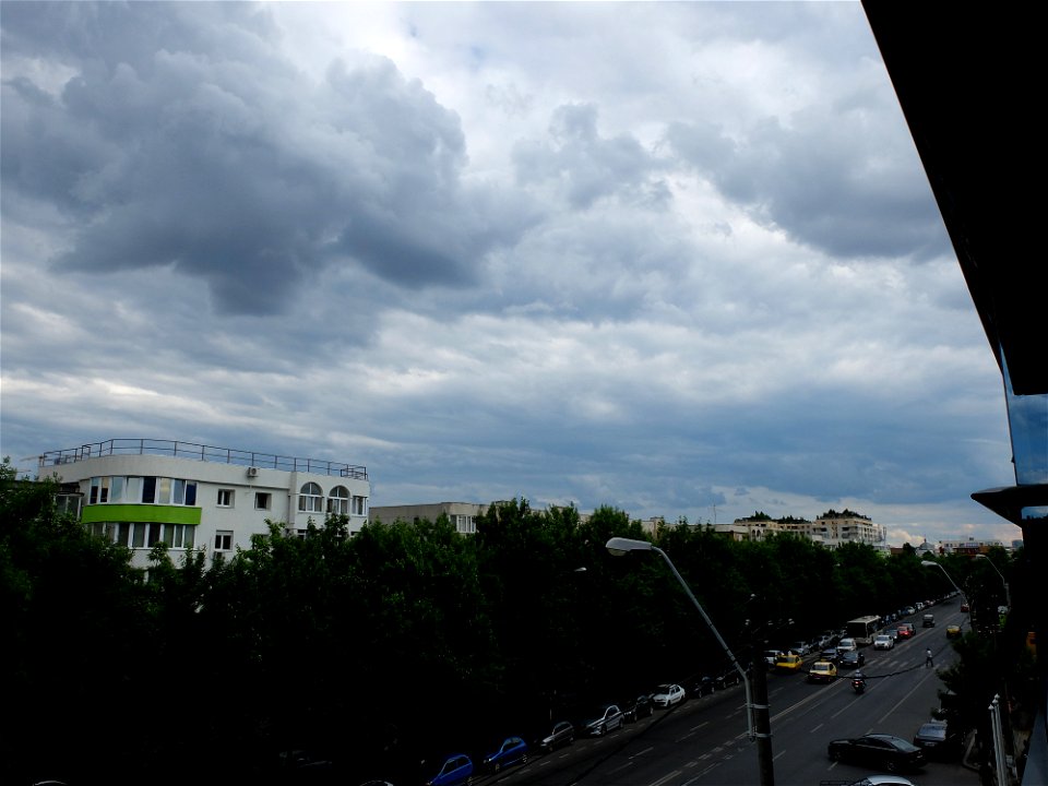 nori-sediu2015_0526_164858