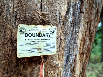 Boundary Marker in the Mother Lode photo