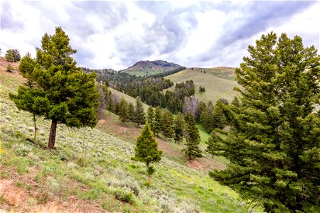 Druid Peak and hillside photo