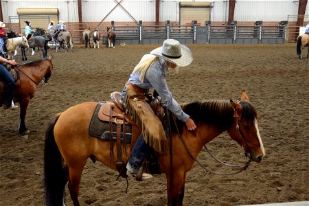 2022 Northern Utah Wild Horse & Burro Festival photo