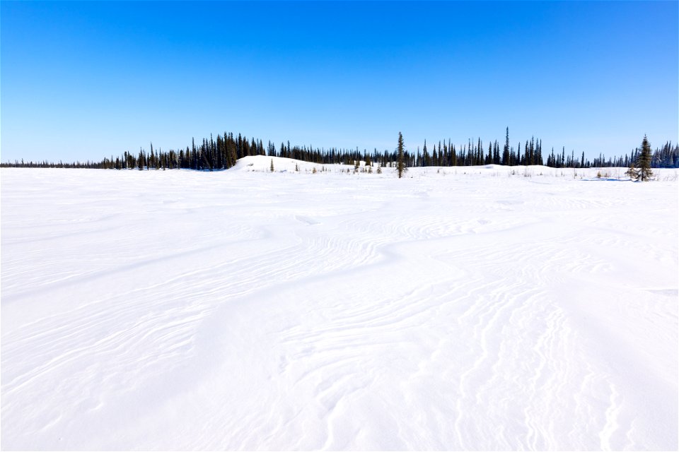 Textures of snow over glacial sand dunes at Selawik National Wildlife Refuge