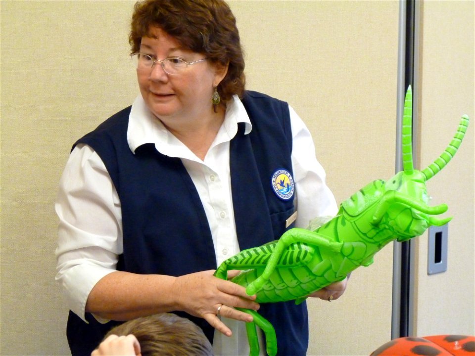 Volunteer teaching about insects