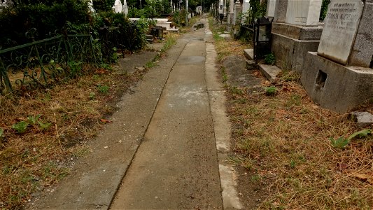 DSC06574