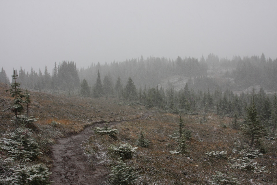 Snow capped mountains and fir trees on Bald Hills photo