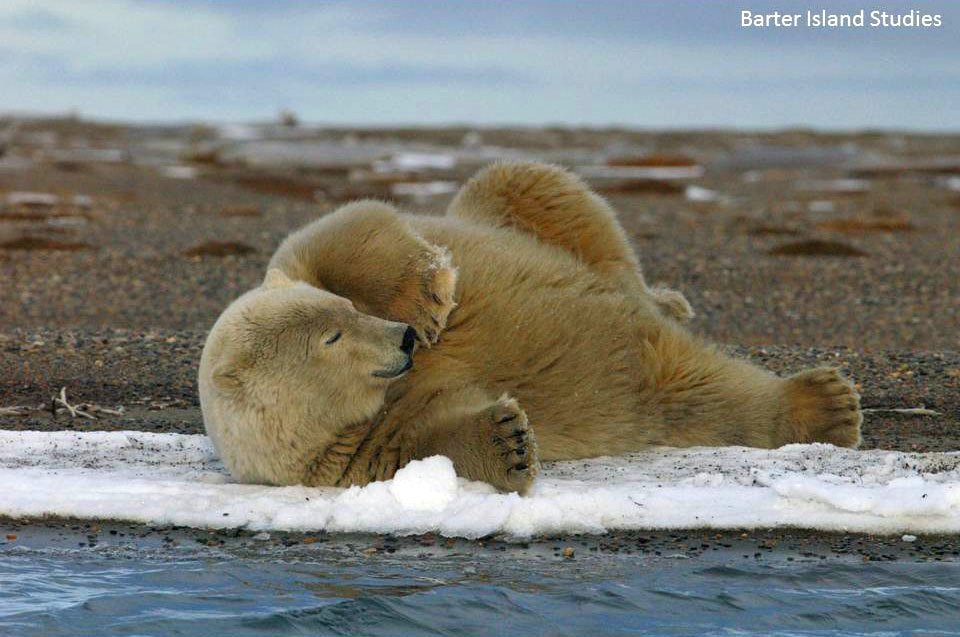 Relax