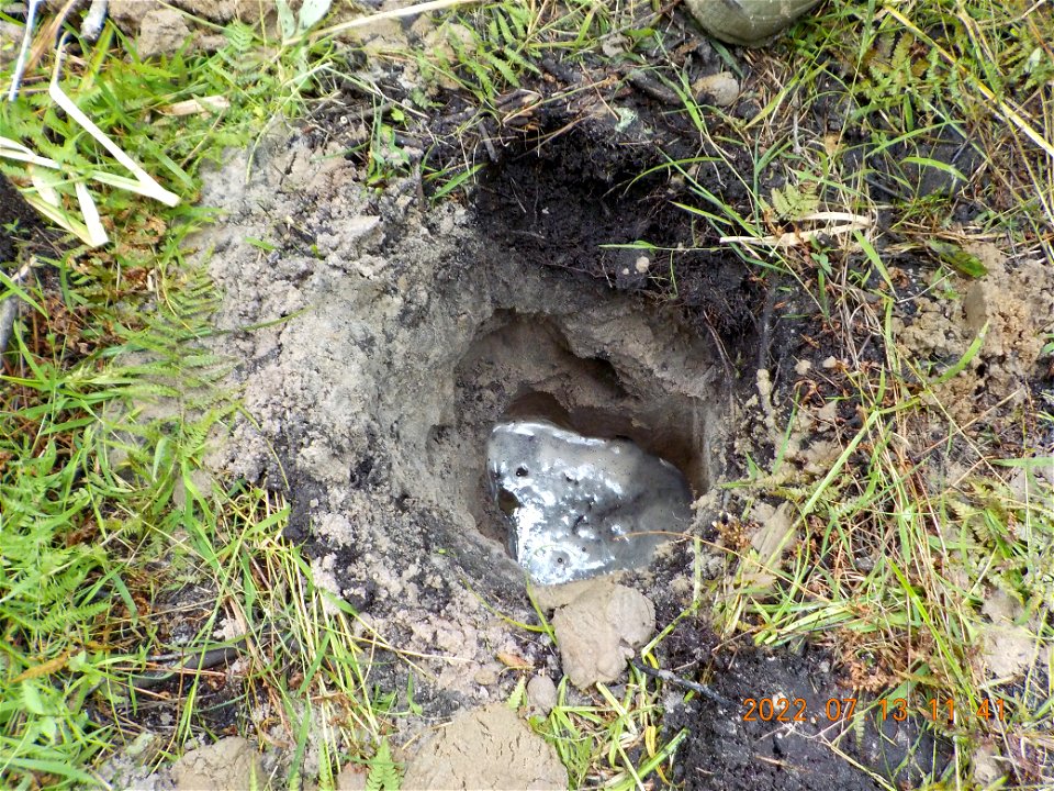 Soil pit 2 Buxton Woods 7-13-22 SK