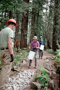 WTA-Wagon Trail to Franklin Falls Snoqualmie Pass-17 photo